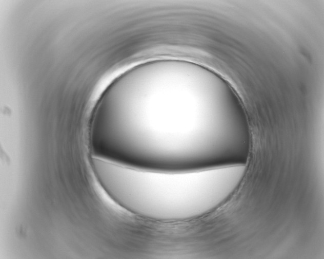 X0000091241531200708091122