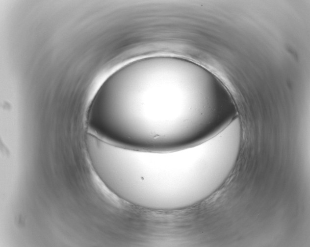 X0000091241532200708091122