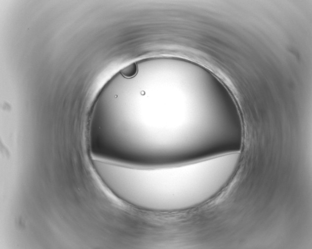 X0000091241533200708091122