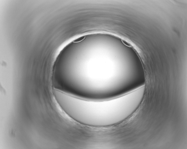 X0000091241534200708091122