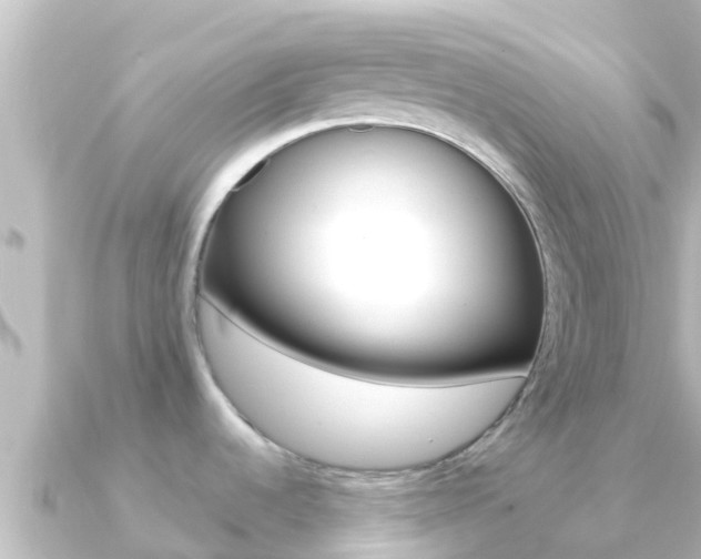 X0000091241536200708091122