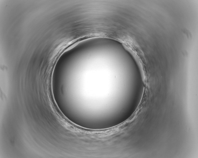 X0000091240001200708091443