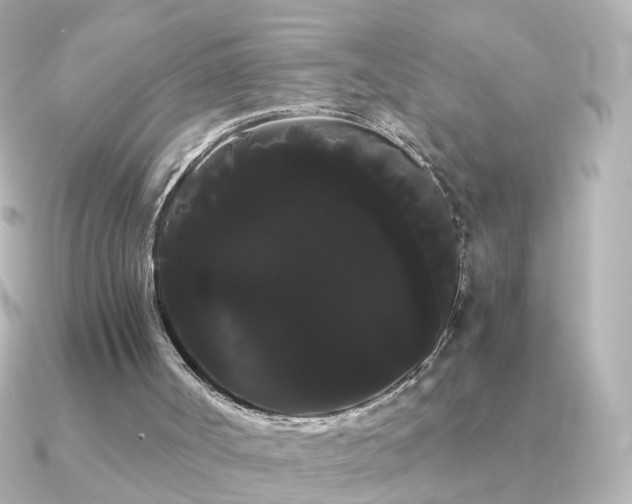 X0000091240002200708091443