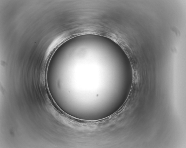 X0000091240004200708091443