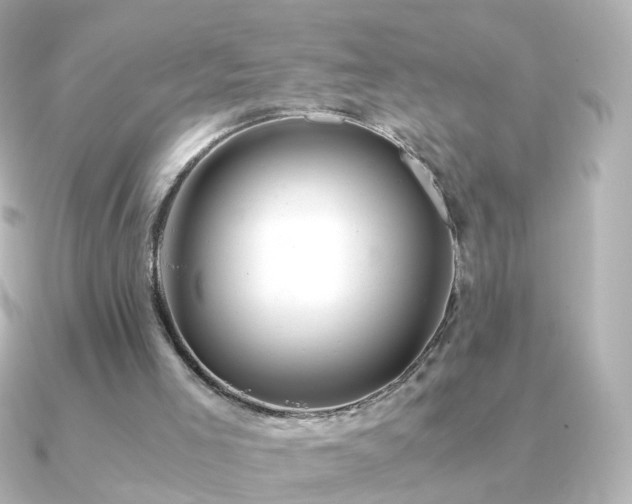 X0000091240005200708091443