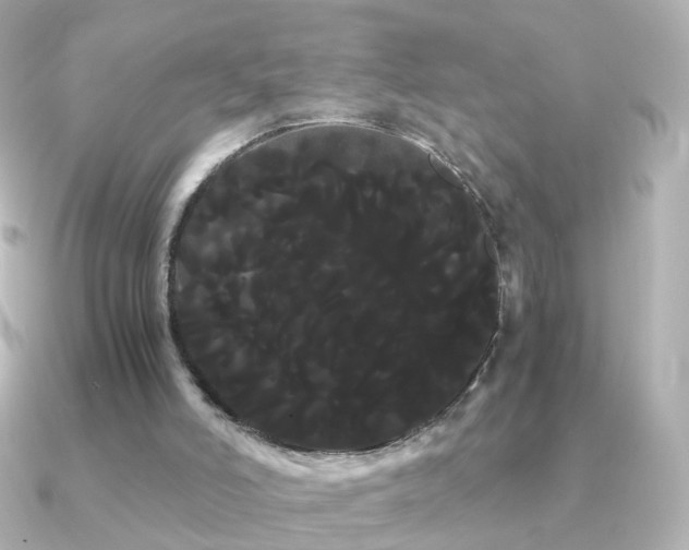 X0000091240006200708091443