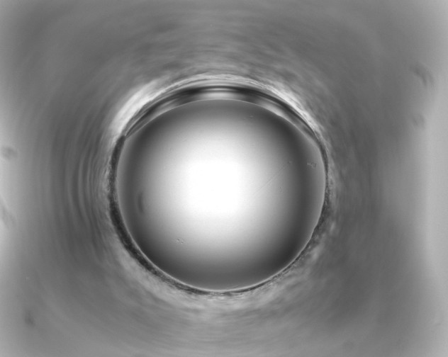 X0000091240007200708091443