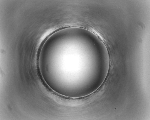 X0000091240008200708091443