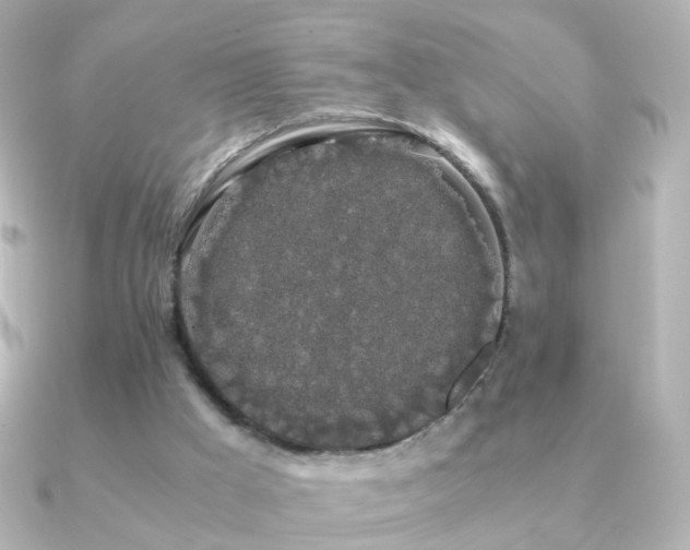 X0000091240009200708091443