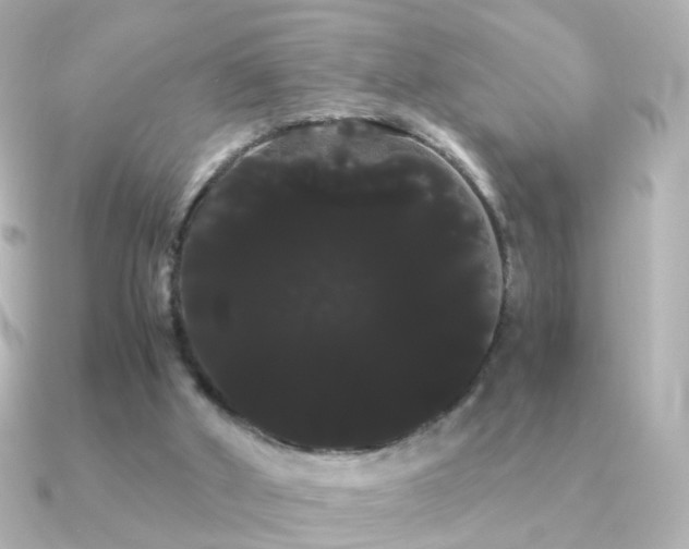 X0000091240010200708091443