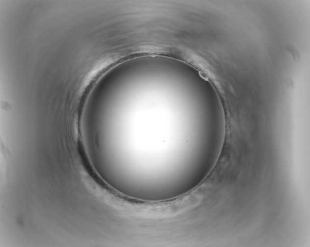 X0000091240011200708091443