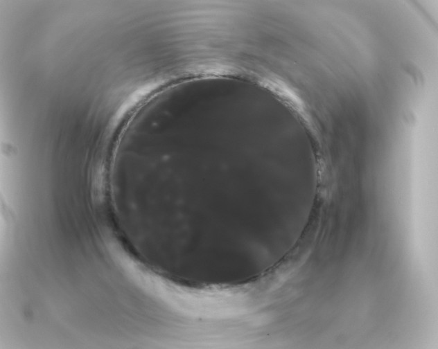 X0000091240012200708091443