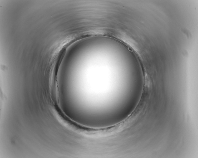 X0000091240013200708091443