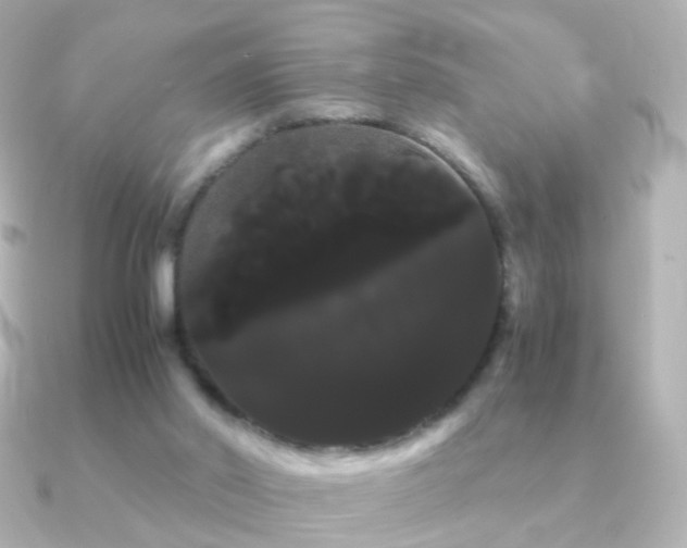 X0000091240014200708091443