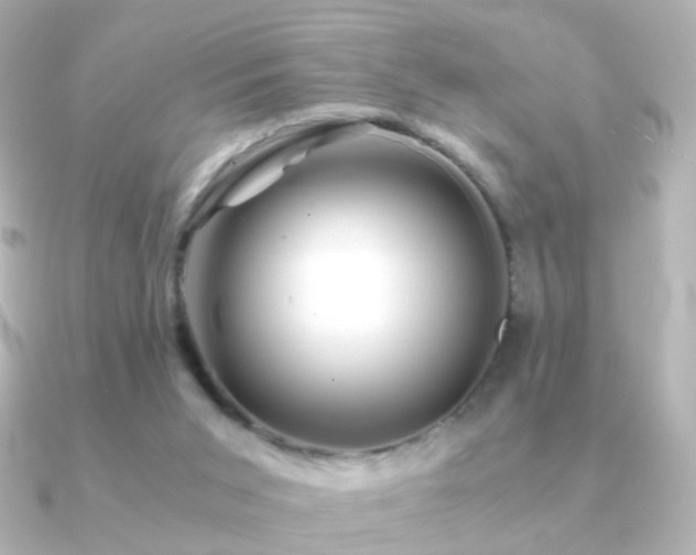 X0000091240015200708091443