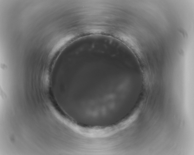 X0000091240016200708091443