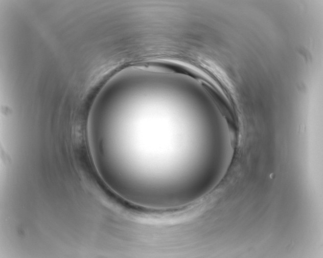 X0000091240017200708091443