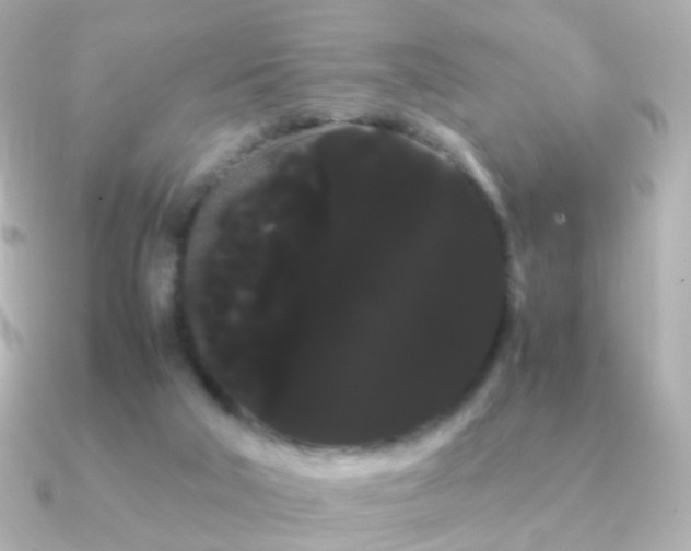 X0000091240018200708091443