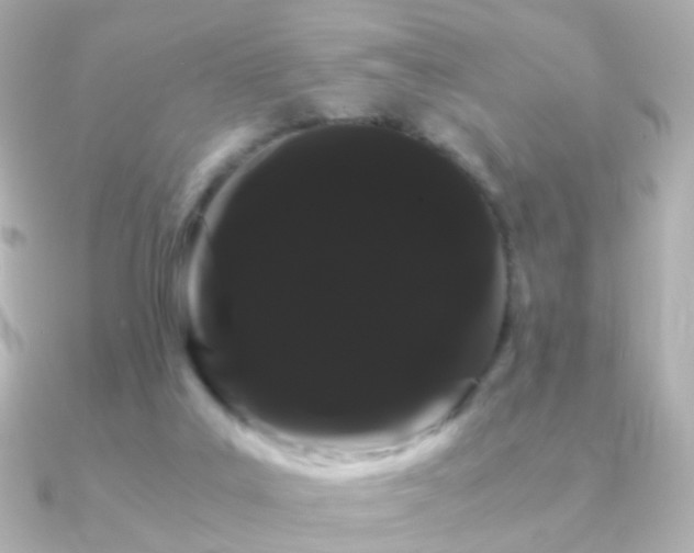 X0000091240019200708091443