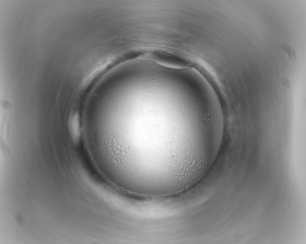X0000091240020200708091443