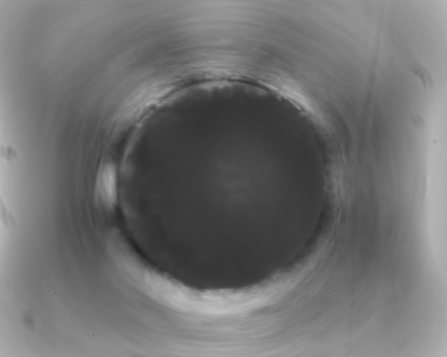 X0000091240022200708091443