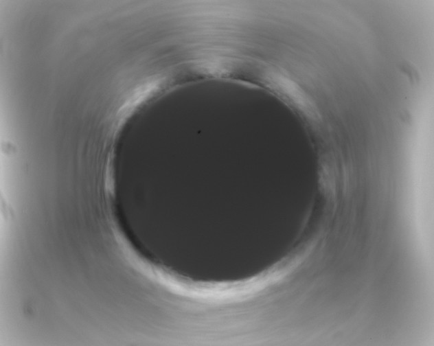 X0000091240023200708091443