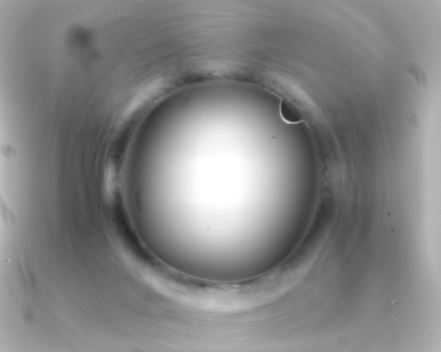 X0000091240024200708091443