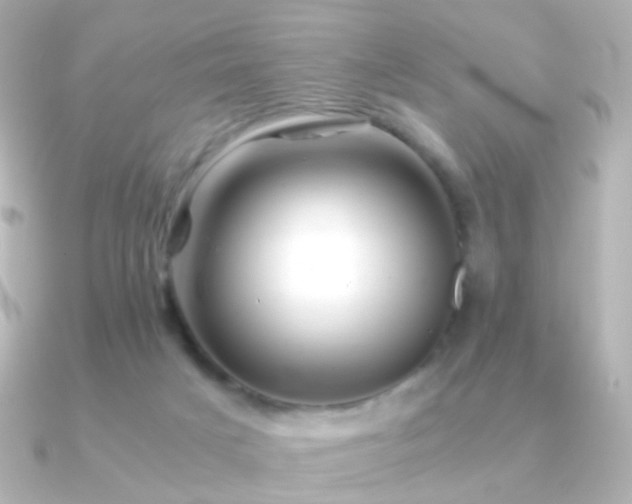 X0000091240025200708091443