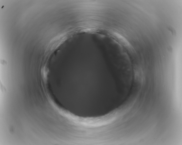 X0000091240026200708091443
