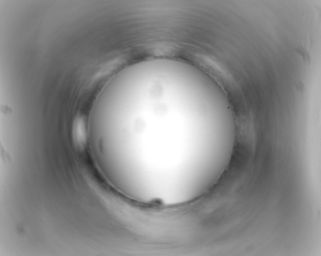 X0000091240028200708091443