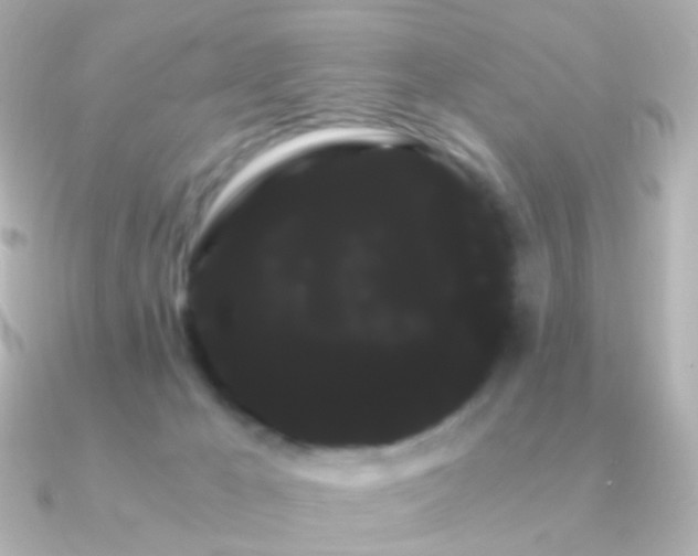 X0000091240029200708091443