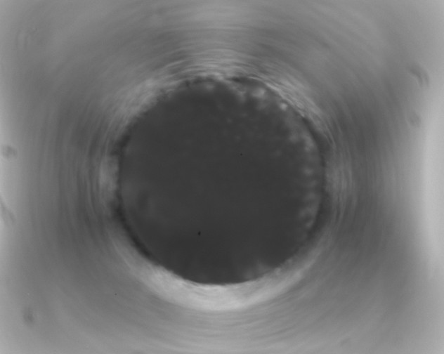 X0000091240030200708091443