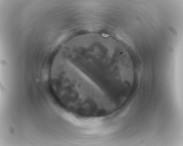 X0000091240032200708091443