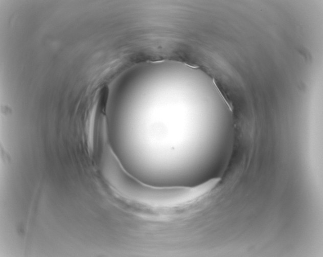 X0000091240033200708091443