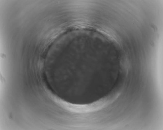 X0000091240034200708091443