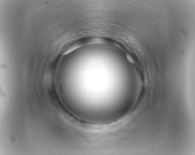 X0000091240037200708091443