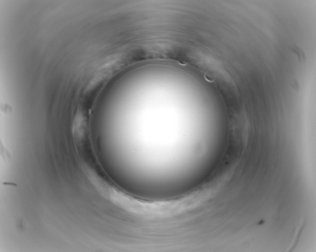 X0000091240038200708091443