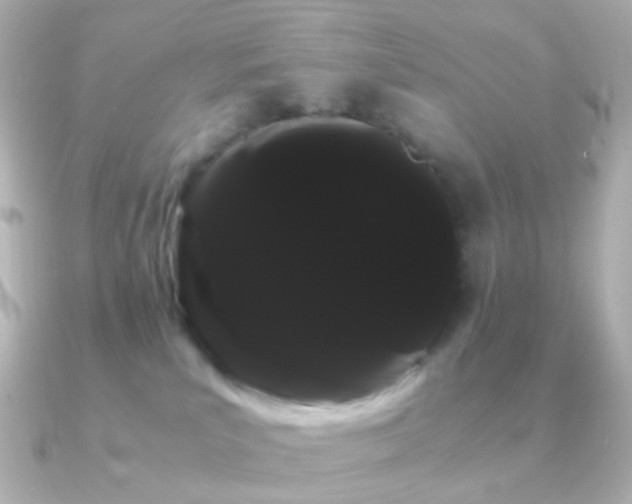 X0000091240039200708091443