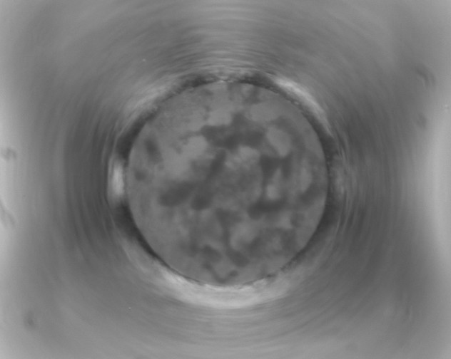 X0000091240042200708091443