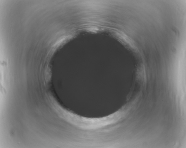 X0000091240043200708091443