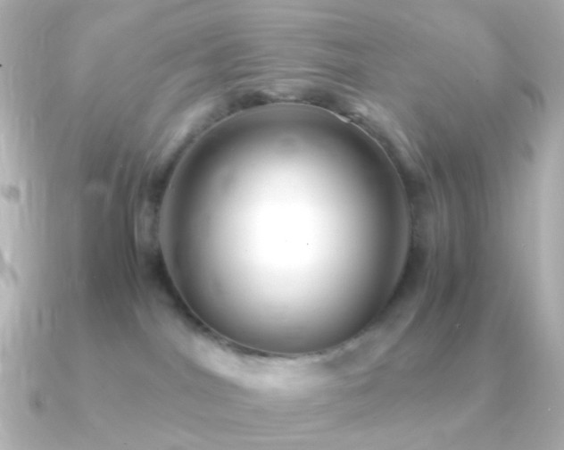 X0000091240044200708091443