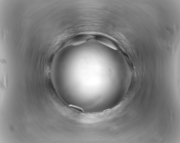 X0000091240045200708091443