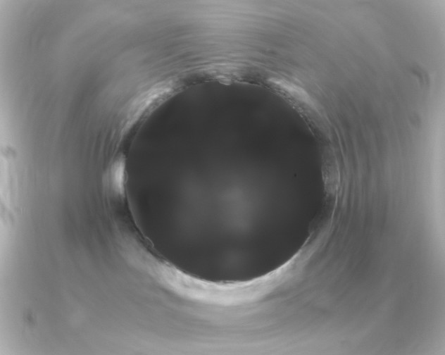X0000091240047200708091443