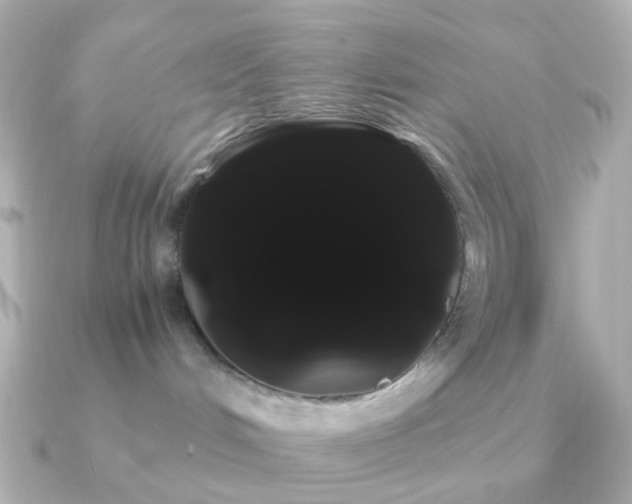X0000091240048200708091443