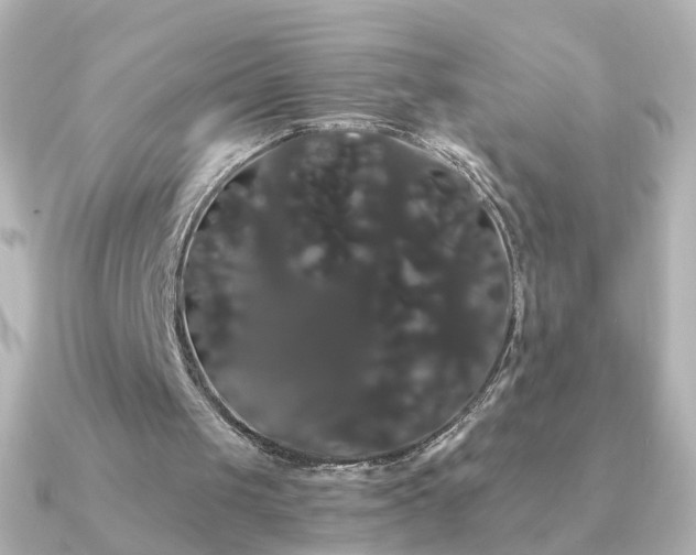 X0000091240049200708091442