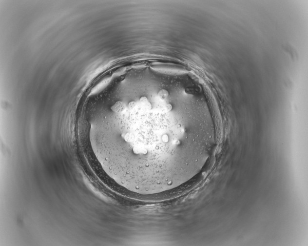X0000091240050200708091442