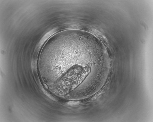 X0000091240051200708091442