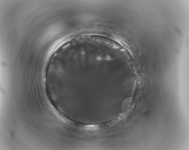 X0000091240053200708091442