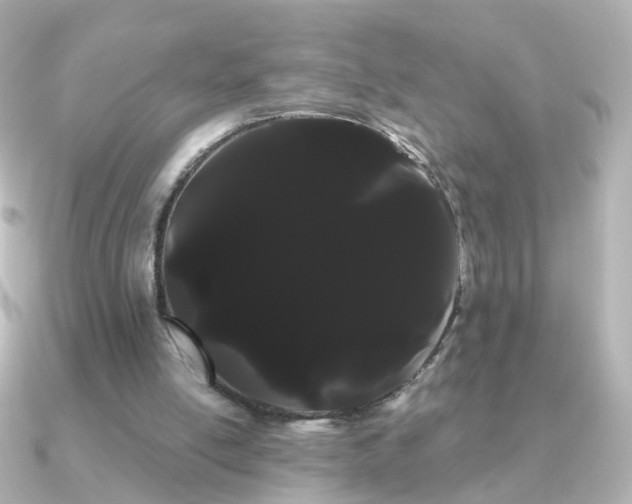 X0000091240054200708091442