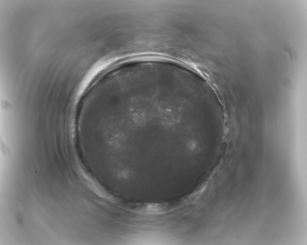 X0000091240056200708091442